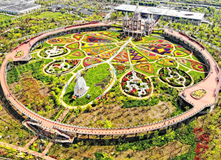 首页| 亿万先生MR中国集团官网登录