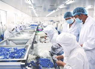 首页| 亿万先生MR中国集团官网登录